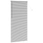 Preview: Fenster Jalousie mit Vorhängen Sonstiges Silber 100 x 220 cm Aluminium