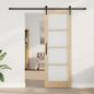 Preview: Schiebetür mit Hardware Set 'ORKDAL'73,5 x 211 cm