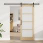 Preview: Schiebetür mit Hardware Set 'ORKDAL'83x211 cm