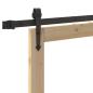 Preview: Schiebetür mit Hardware Set 'ORKDAL'93x232 cm