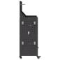 Preview: Werkzeugwagen mit Regal mit Rad mit Speicher Schwarz 65 x 35 x 111 cm Metall