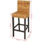 Preview: Barstühle 2 Stk. Abaca