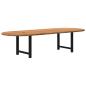 Preview: ARDEBO.de - Esstisch Hellbraun 320x120x74 cm Massivholz Eiche Oval