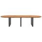 Preview: Esstisch Hellbraun 320x120x74 cm Massivholz Eiche Oval