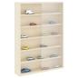 Preview: Holz-Sammelvitrine mit Regal Braun 40 x 8,5 x 54 cm Sperrholz