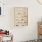 Preview: Holz-Sammelvitrine mit Regal Braun 40 x 8,5 x 54 cm Sperrholz
