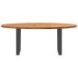 Preview: Esstisch Hellbraun 200x100x74 cm Massivholz Eiche Oval