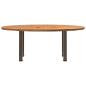 Preview: Esstisch Hellbraun 200x100x74 cm Massivholz Eiche Oval