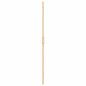 Preview: Walk-in Duschwand Sonstiges Golden und Transparent 70 x 190 cm