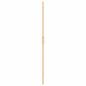 Preview: Walk-in Duschwand Sonstiges Golden und Transparent 80 x 190 cm