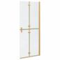 Preview: Walk-in Duschwand Sonstiges Golden und Transparent 80 x 190 cm