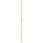 Preview: Walk-in Duschwand Sonstiges Golden und Transparent 90 x 190 cm