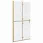 Preview: Walk-in Duschwand Sonstiges Golden und Transparent 100 x 190 cm