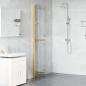 Preview: Walk-in Duschwand Sonstiges Golden und Transparent 100 x 190 cm