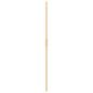 Preview: Walk-in Duschwand Sonstiges Golden und Transparent 100 x 190 cm