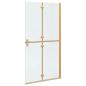 Preview: Walk-in Duschwand Sonstiges Golden und Transparent 100 x 190 cm