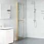 Preview: Walk-in Duschwand Sonstiges Golden und Transparent 110 x 190 cm