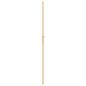 Preview: Walk-in Duschwand Sonstiges Golden und Transparent 120 x 190 cm