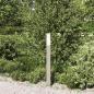 Preview: ARDEBO.de - Pollerleuchte 80 cm Edelstahl IP44