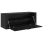 Preview: Schuhschrank Schwarze Eiche 100 x 35 x 38 cm Holzwerkstoff
