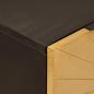Preview: Sideboard Schwarz und Gold 60 x 33 x 75 cm massives Mangoholz