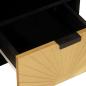Preview: TV-Schränk Schwarz und Gold 100 x 33 x 46 cm massives Mangoholz