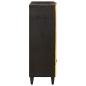 Preview: Beistellschrank mit Tür Schwarz und Gold 60 x 33.5 x 100 cm