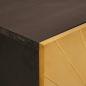 Preview: Beistellschrank mit Tür Schwarz und Gold 60 x 33.5 x 100 cm