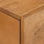 Preview: Couchtisch mit Tür Hellbraun 80 x 50 x 40 cm massives Mangoholz