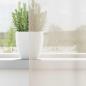 Preview: Voile Vorhänge mit Stangentaschen 2 Stk. Creme