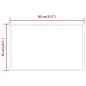 Preview: LED-Badspiegel 80x50 cm