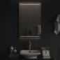 Preview: LED-Badspiegel 50x80 cm