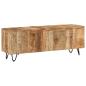 Preview: TV-Schrank 110x30x40 cm Massivholz Mango