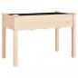 Preview: Pflanzkübel mit Einsatz 118x59x76 cm Massivholz Tanne