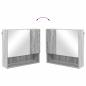 Preview: Spiegelschrank Grau Sonoma 59 x 17 x 55 cm Holzwerkstoff