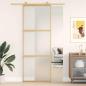 Preview: Schiebetür Golden 76x205 cm Matt ESG-Glas und Aluminium