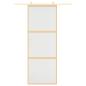 Preview: Schiebetür Golden 76x205 cm Matt ESG-Glas und Aluminium