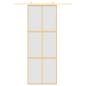 Preview: Schiebetür Golden 76x205 cm Matt ESG-Glas und Aluminium
