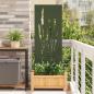 Preview: ARDEBO.de - Garten dekoratives Panel Olivgrün 50 x 140 cm