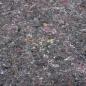 Preview: Rutschfestes Malervlies 5 m 180 g/m² Grau