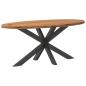 Preview: ARDEBO.de - Esstisch Hellbraun 200x100x74 cm Massivholz Eiche Oval