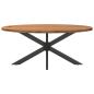Preview: Esstisch Hellbraun 200x100x74 cm Massivholz Eiche Oval