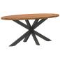 Preview: Esstisch Hellbraun 200x100x74 cm Massivholz Eiche Oval