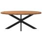 Preview: Esstisch Hellbraun 200x100x74 cm Massivholz Eiche Oval