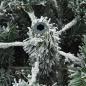 Preview: Künstlicher Scharnier-Weihnachtsbaum schneebedeckt Weiß 180 cm