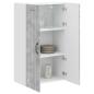 Preview: Wandschrank LUCCA Betongrau 60 x 31 x 100 cm Holzwerkstoff