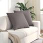 Preview: ARDEBO.de - Sofakissen 2 pcs Taupe 60 x 60 cm Stoff