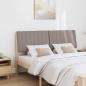 Preview: Gepolstertes Kopfteil Taupe 150 cm Massives Kiefernholz