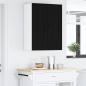 Preview: Küchenhängeschrank Schwarz 30 x 31 x 80 cm Holzwerkstoff