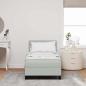 Preview: Boxspringbett mit Matratze Hellgrau 80 x 200 cm Samt